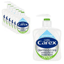 Carex Antibacterial Hand Wash 250ml x 6 | Moisture Plus