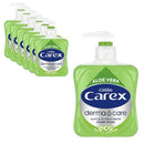 Carex Antibacterial Hand Wash 250ml x 6 | Aloe Vera