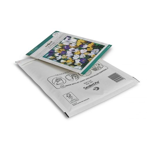 Mail Lite Size D/1 White Padded Envelopes - 180 x 260mm